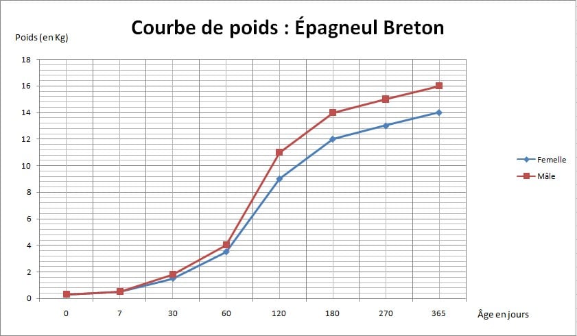 courbe poids épagneul breton